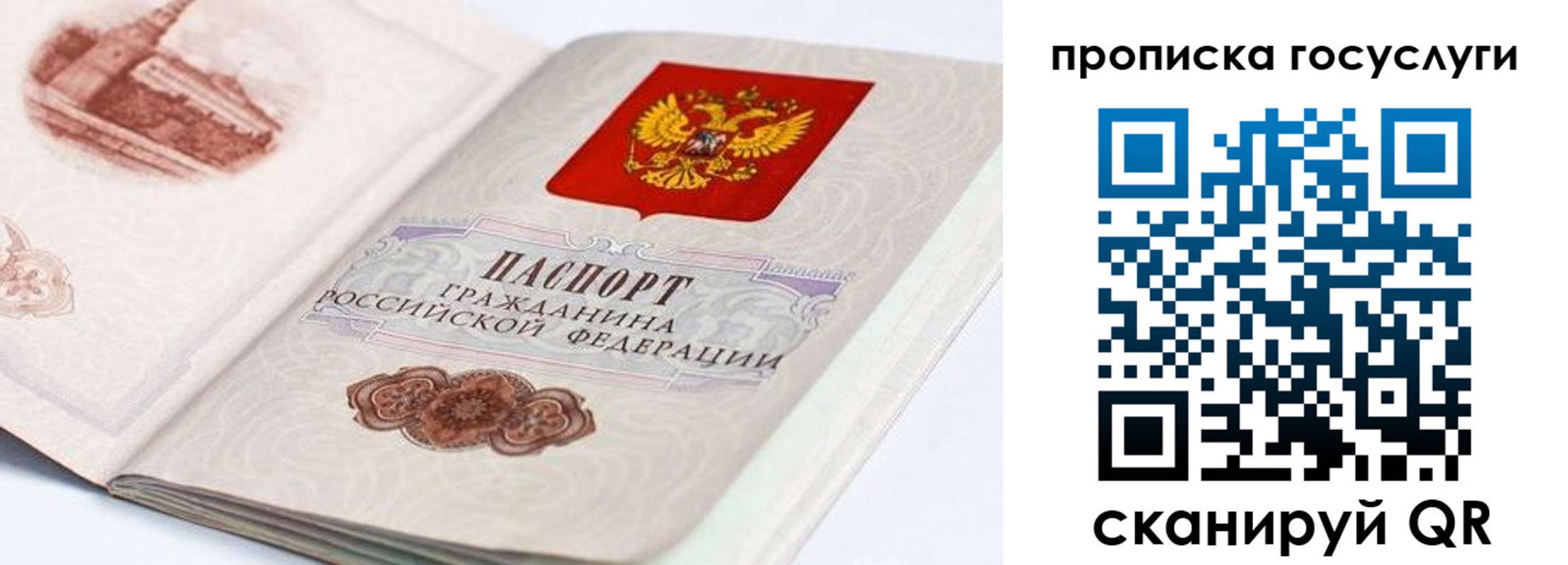 прописка гарантия в Ивановской области